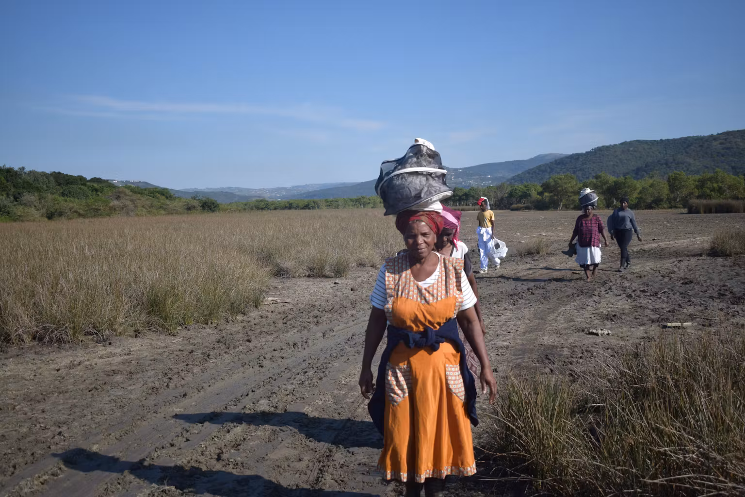 The Matriarchs of Ayogwiri Harvest